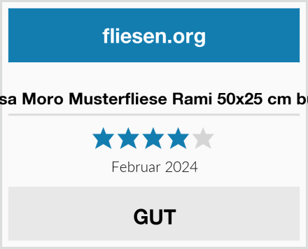  Casa Moro Musterfliese Rami 50x25 cm bunt Test